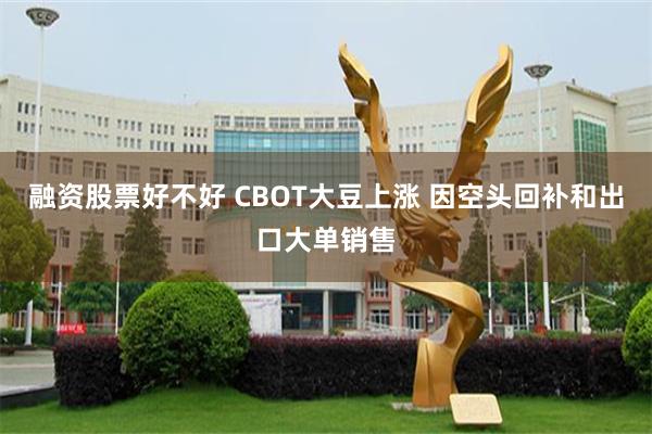 融资股票好不好 CBOT大豆上涨 因空头回补和出口大单销售