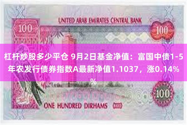 杠杆炒股多少平仓 9月2日基金净值：富国中债1-5年农发行债券指数A最新净值1.1037，涨0.14%