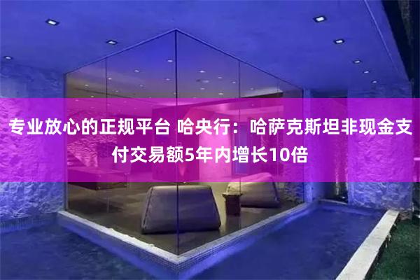 专业放心的正规平台 哈央行：哈萨克斯坦非现金支付交易额5年内增长10倍