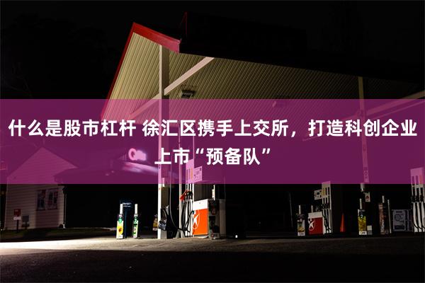 什么是股市杠杆 徐汇区携手上交所，打造科创企业上市“预备队”