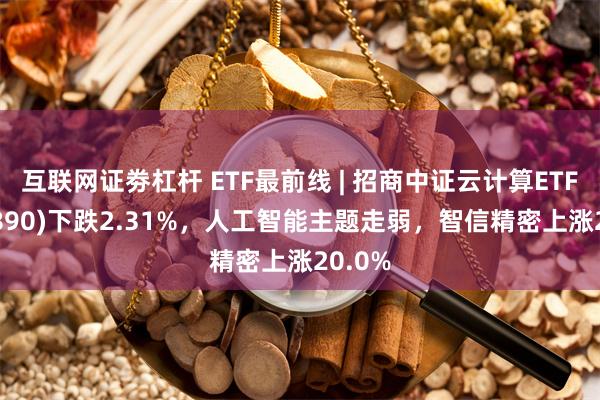 互联网证劵杠杆 ETF最前线 | 招商中证云计算ETF(159890)下跌2.31%，人工智能主题走弱，智信精密上涨20.0%