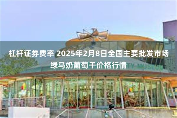 杠杆证券费率 2025年2月8日全国主要批发市场绿马奶葡萄干价格行情