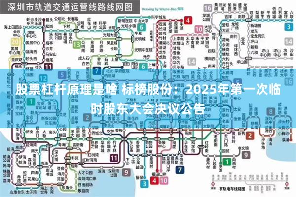 股票杠杆原理是啥 标榜股份：2025年第一次临时股东大会决议公告