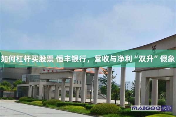 如何杠杆买股票 恒丰银行，营收与净利“双升”假象