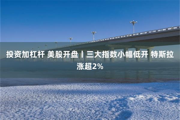 投资加杠杆 美股开盘丨三大指数小幅低开 特斯拉涨超2%