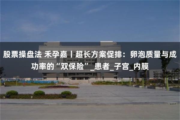 股票操盘法 禾孕嘉丨超长方案促排：卵泡质量与成功率的“双保险”_患者_子宫_内膜