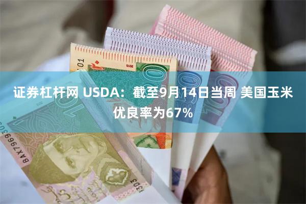 证券杠杆网 USDA：截至9月14日当周 美国玉米优良率为67%