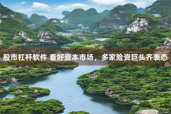 股市杠杆软件 看好资本市场，多家险资巨头齐表态
