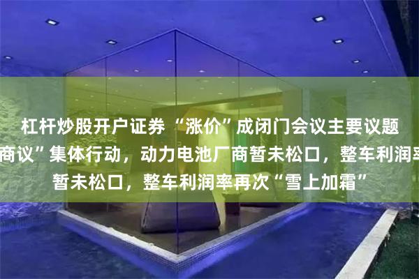 杠杆炒股开户证券 “涨价”成闭门会议主要议题：磷酸铁锂企业“商议”集体行动，动力电池厂商暂未松口，整车利润率再次“雪上加霜”