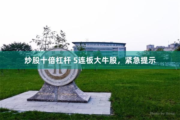 炒股十倍杠杆 5连板大牛股，紧急提示