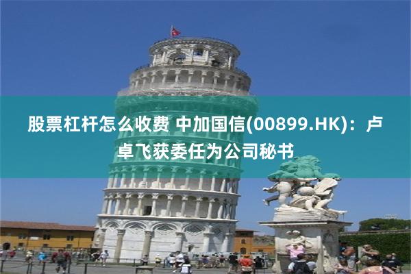 股票杠杆怎么收费 中加国信(00899.HK)：卢卓飞获委任为公司秘书