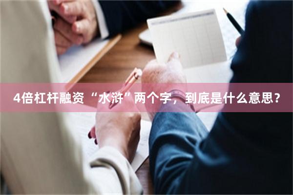 4倍杠杆融资 “水浒”两个字，到底是什么意思？